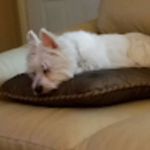 Meet your Posher, Cindy